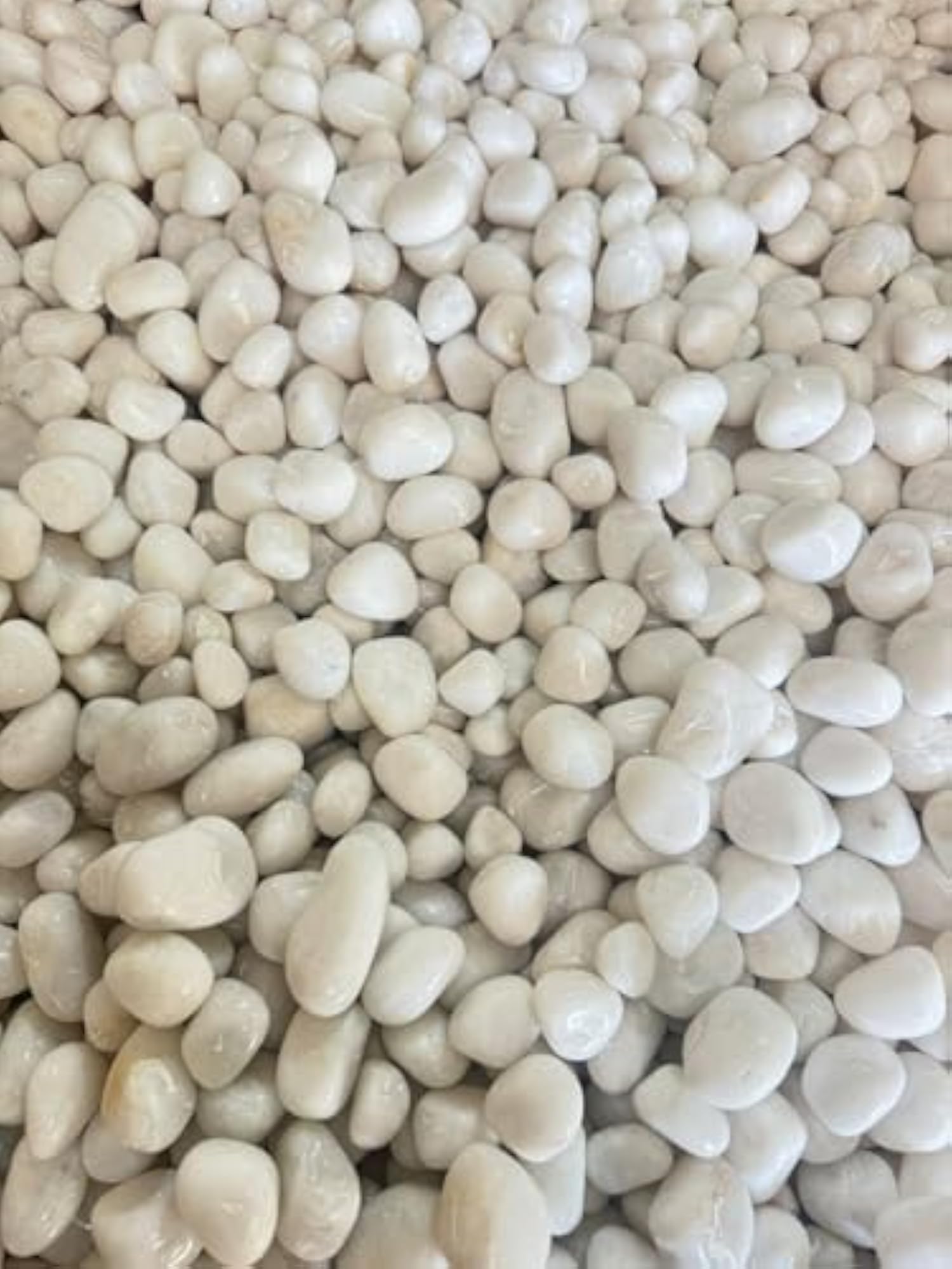 1 Kg White Vivarium Stones for Plants Pots